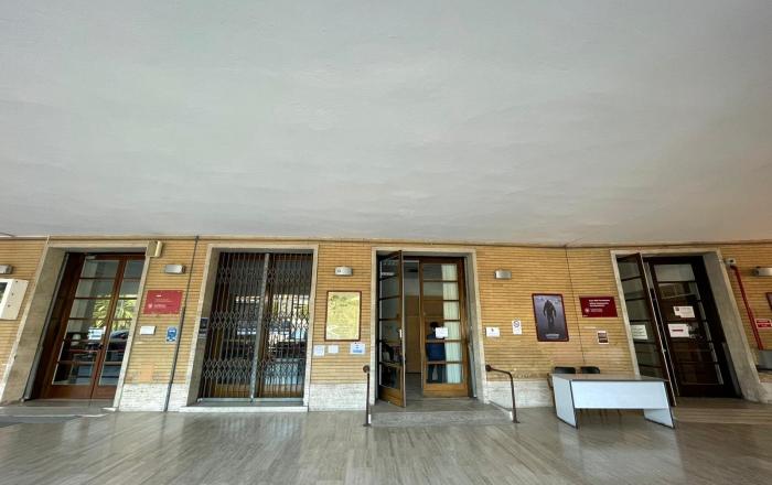 immagine decorativa